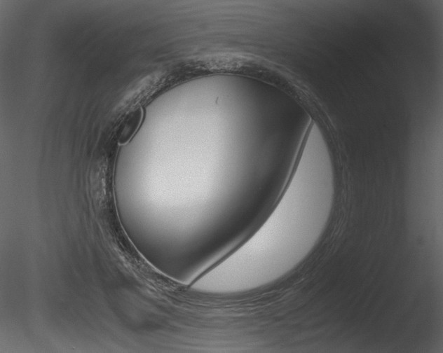X0000085810501200703161032