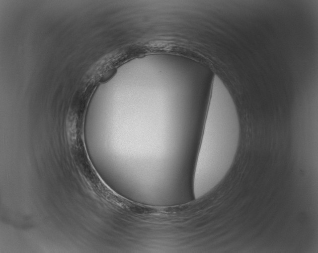 X0000085810504200703161032
