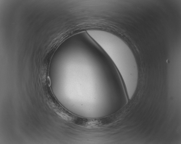 X0000085810505200703161032