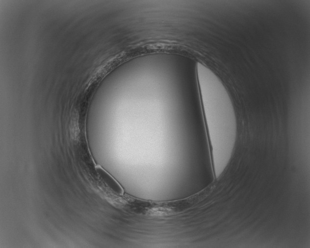 X0000085810508200703161032