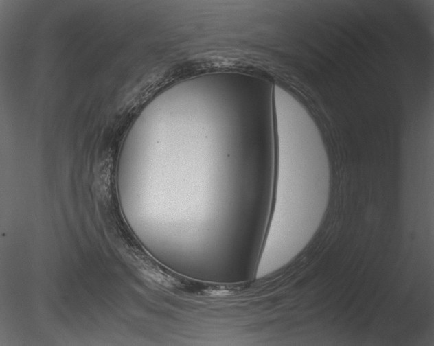 X0000085810509200703161032