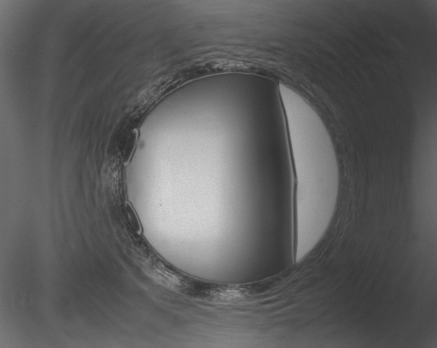X0000085810513200703161032