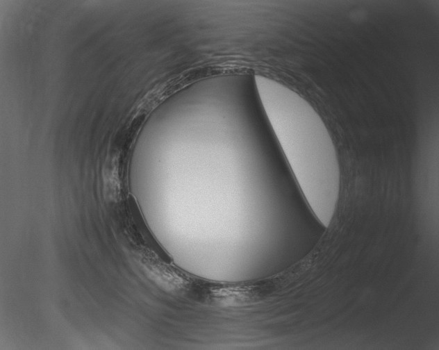X0000085810516200703161032
