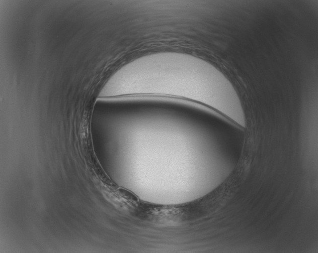 X0000085810517200703161032