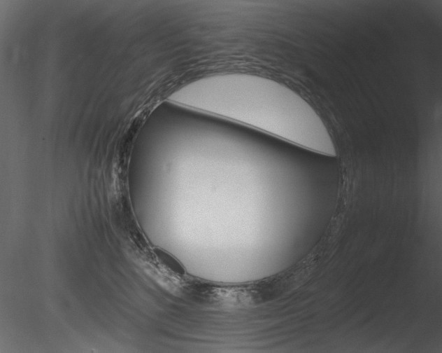 X0000085810520200703161032