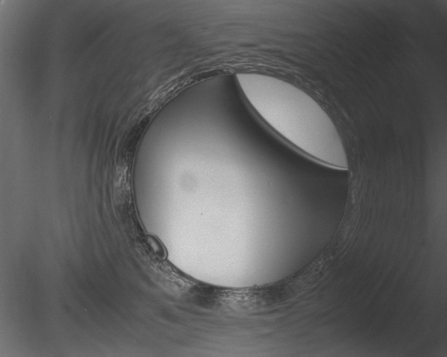 X0000085810521200703161032