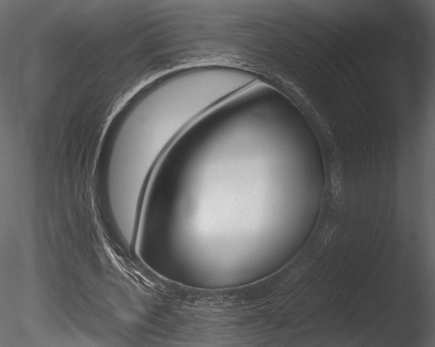 X0000085810532200703161031