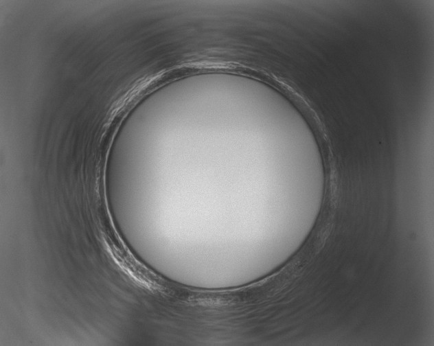 X0000085810533200703161031