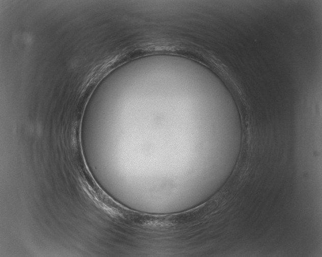 X0000085810537200703161031