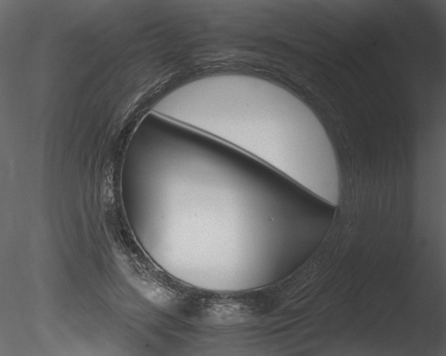 X0000085810547200703161031