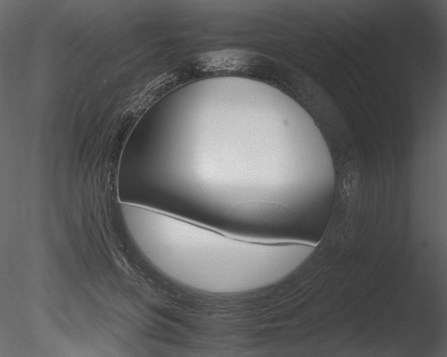 X0000085810551200703161032