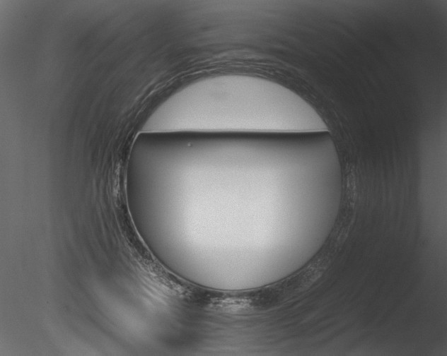 X0000085810554200703161032
