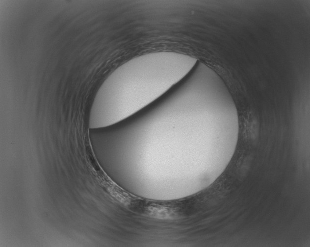X0000085810561200703161032