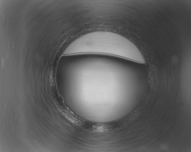 X0000085810564200703161032