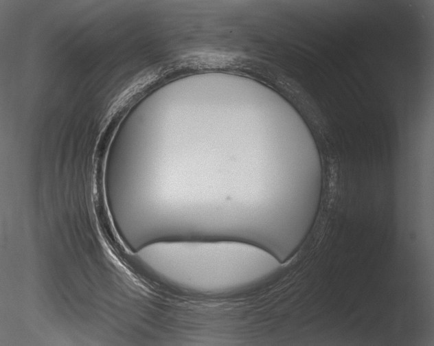 X0000085810582200703161031