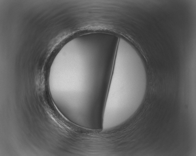 X0000085810584200703161031
