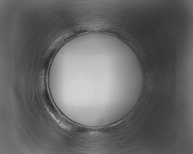 X0000085810590200703161031