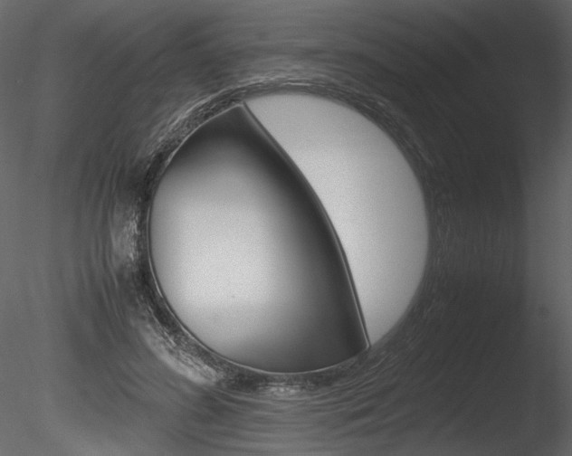 X0000085810596200703161031