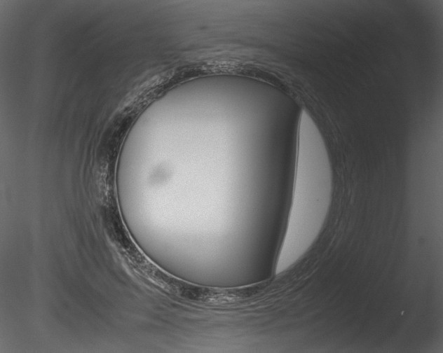 X0000085810599200703161031