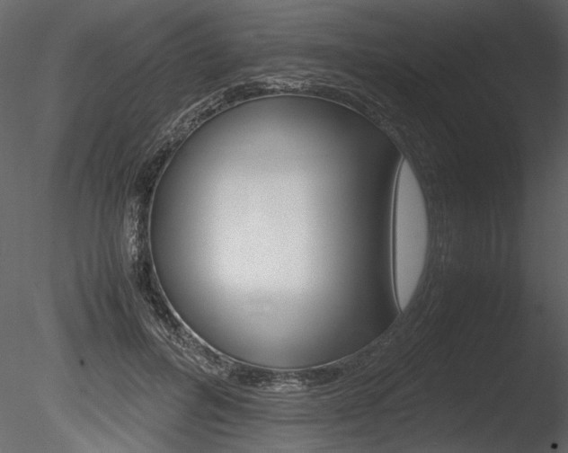 X0000085810600200703161031