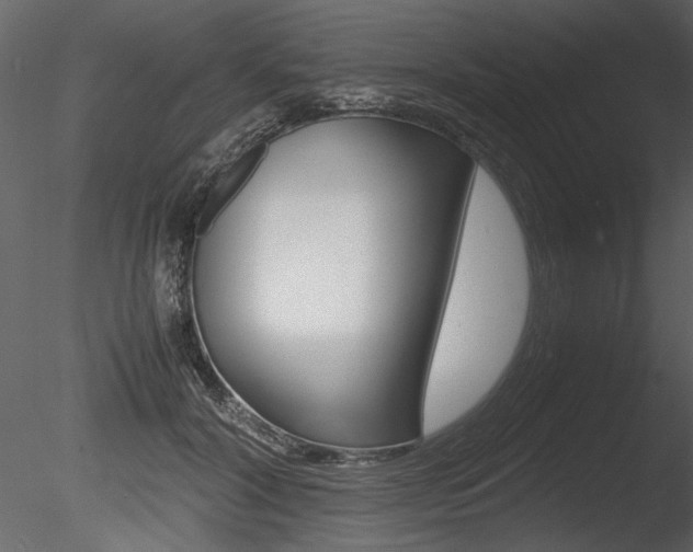 X0000085810604200703161031