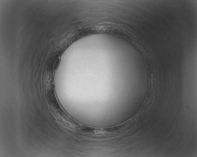 X0000085810605200703161031
