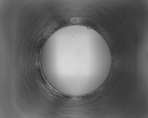 X0000085810606200703161031