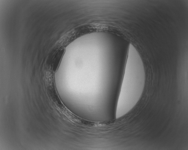 X0000085810609200703161031