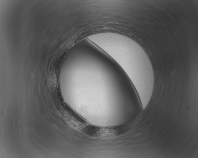 X0000085810617200703161030