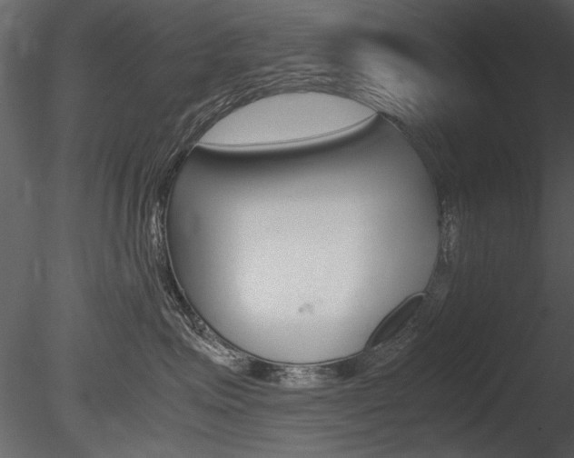 X0000085810623200703161030