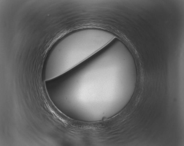 X0000085810625200703161029