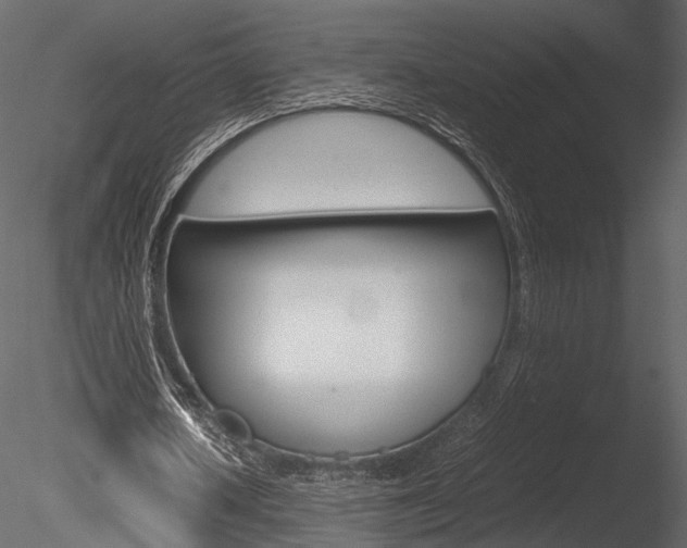 X0000085810626200703161030