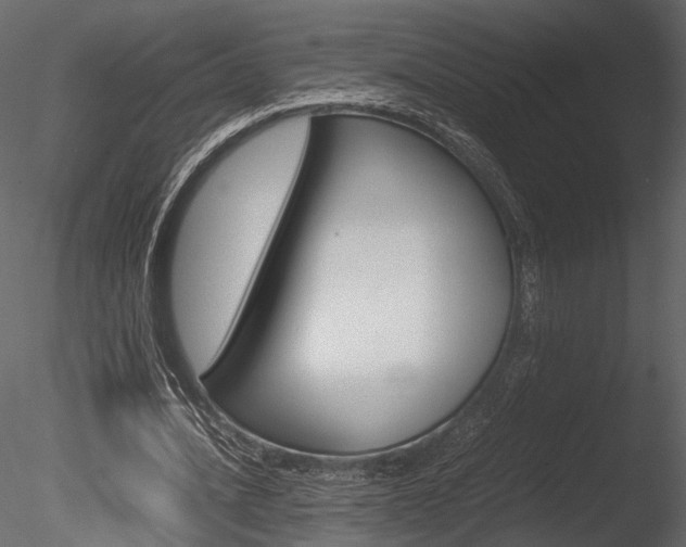 X0000085810628200703161030