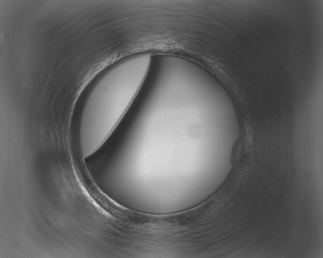 X0000085810630200703161030