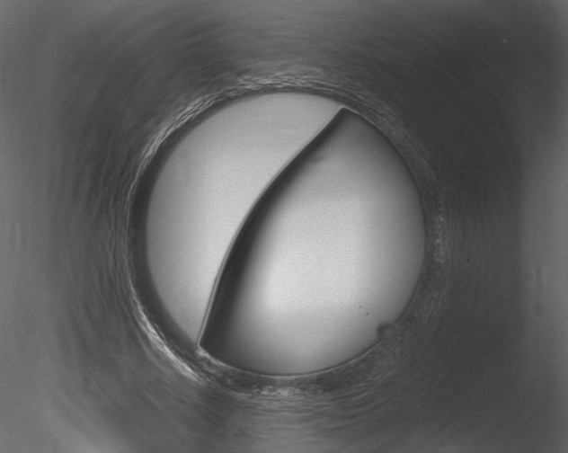X0000085810634200703161030