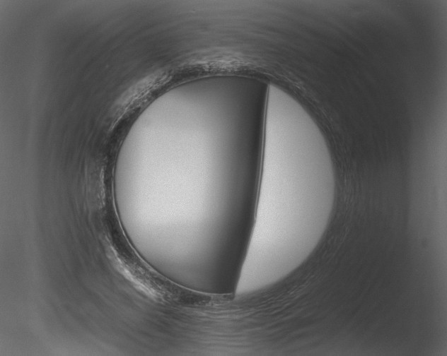 X0000085810638200703161030