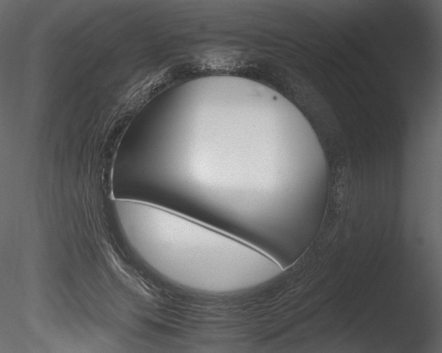 X0000085810639200703161030
