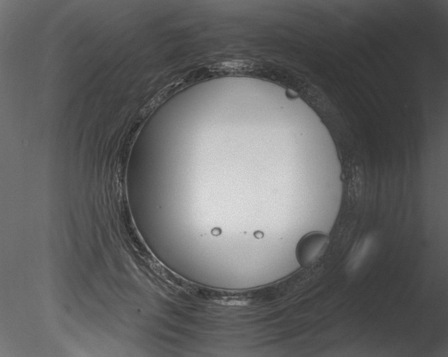 X0000085810651200703161030