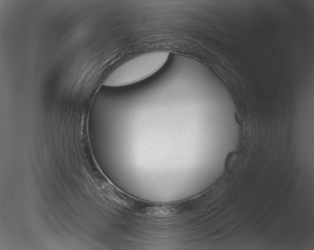 X0000085810652200703161030