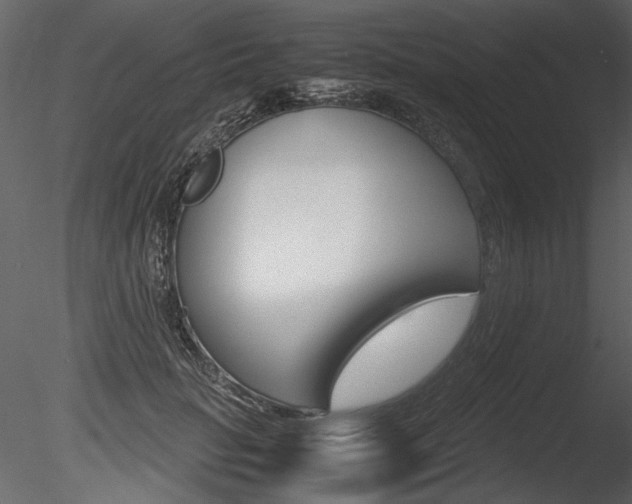 X0000085810653200703161030