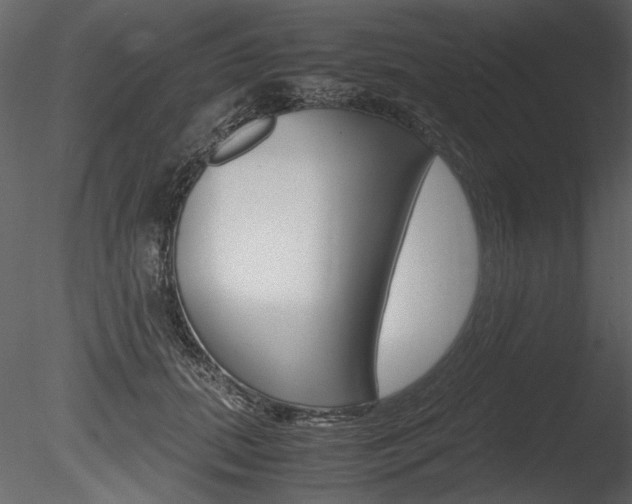 X0000085810655200703161030