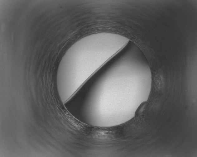 X0000085810657200703161030