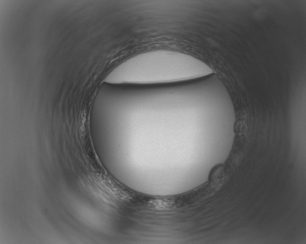 X0000085810660200703161030