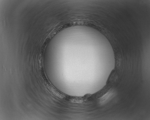 X0000085810661200703161030