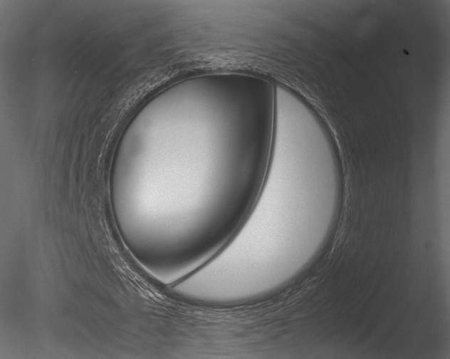 X0000085810673200703161029