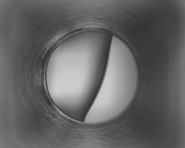X0000085810675200703161029