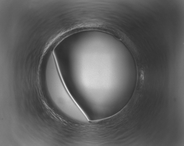 X0000085810676200703161029