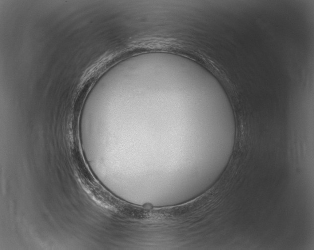 X0000085810682200703161029
