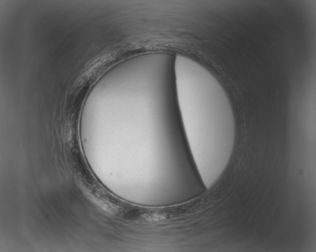 X0000085810687200703161029