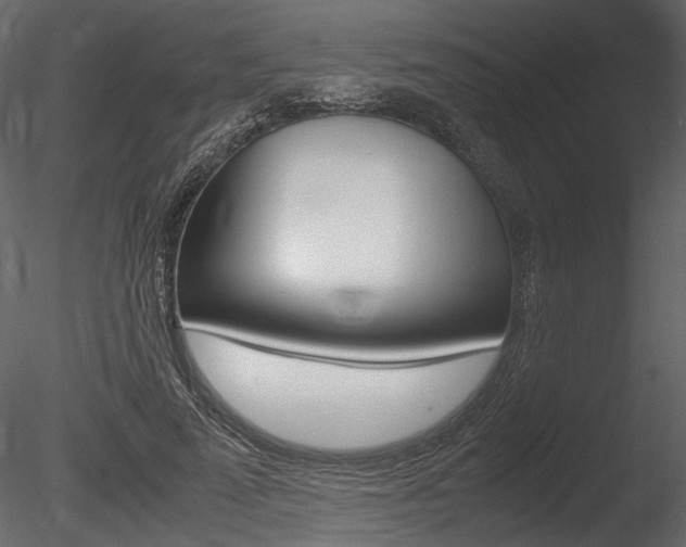 X0000085810689200703161029